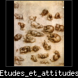 Etudes_et_attitudes_de_chats.gif/