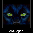 cat-eyes.jpg